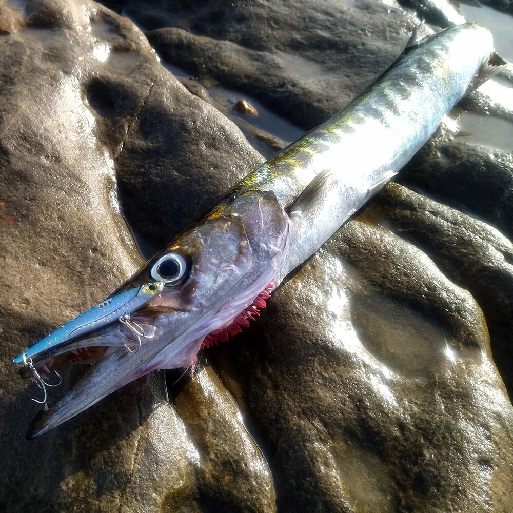 GOBAIT VIB Fishing Lure 20g 25 - Fishing Hook Treble avis et prix
