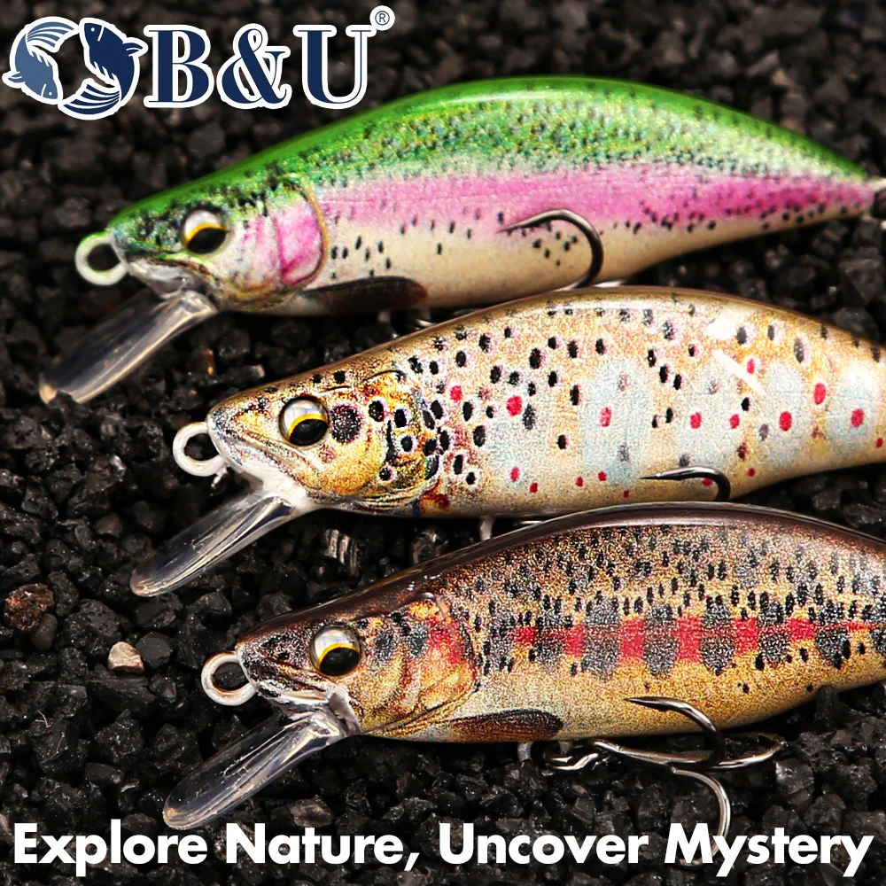 B&U Trout Pattern Hard Bait Si - Fishing Hook Assortment avis et prix