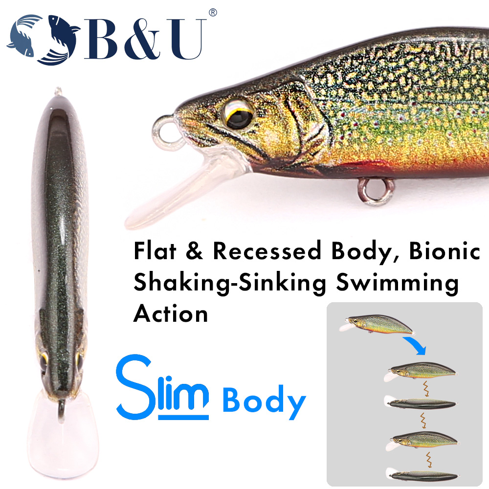 B&U Trout Pattern Hard Bait Si - Fishing Hook Assortment avis et prix